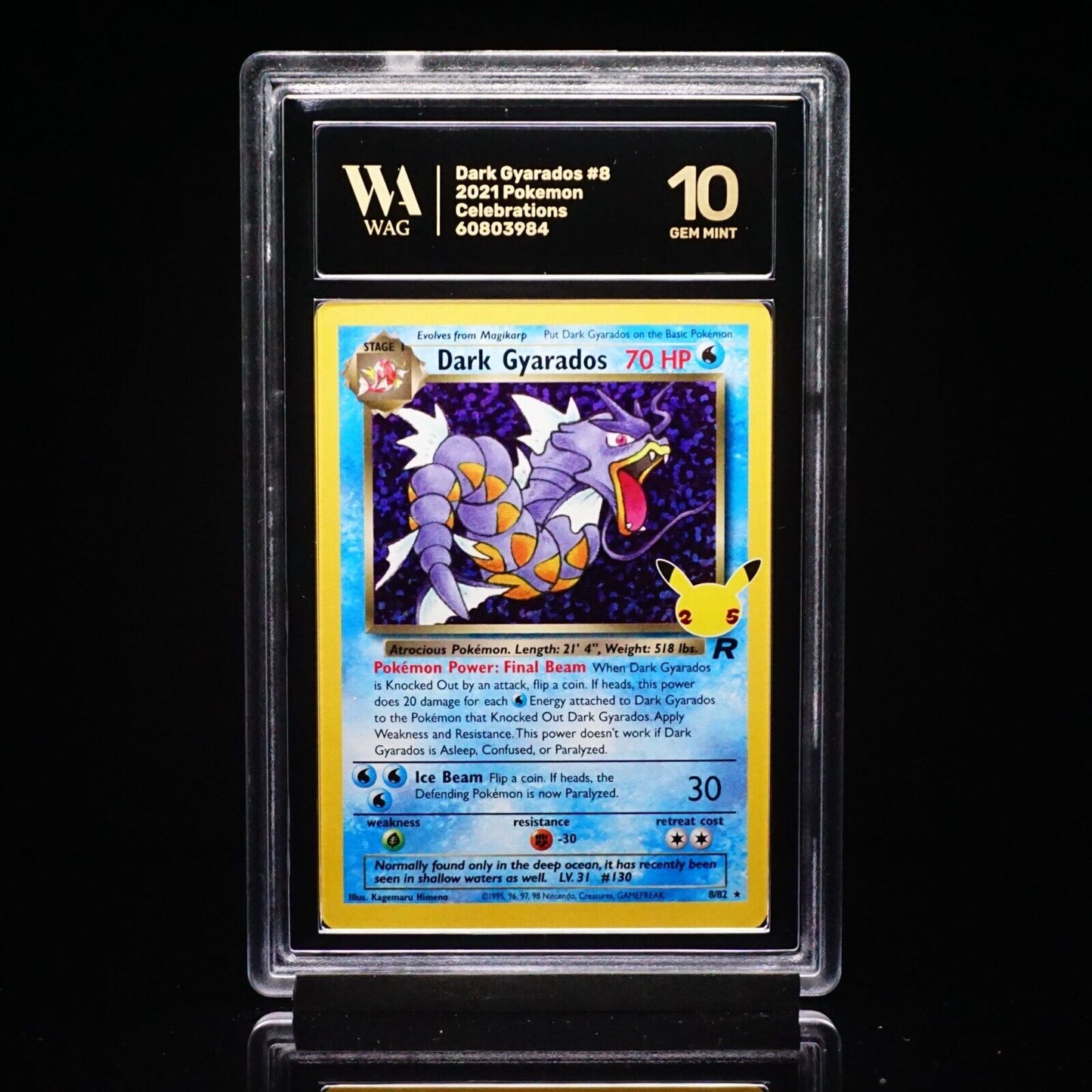 Graded WAG 10 Gem Mint Dark Gyarados 8/82 Celebrations: Classic Collection Holo